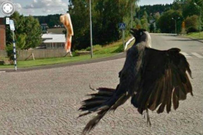 google-street-kuvat
