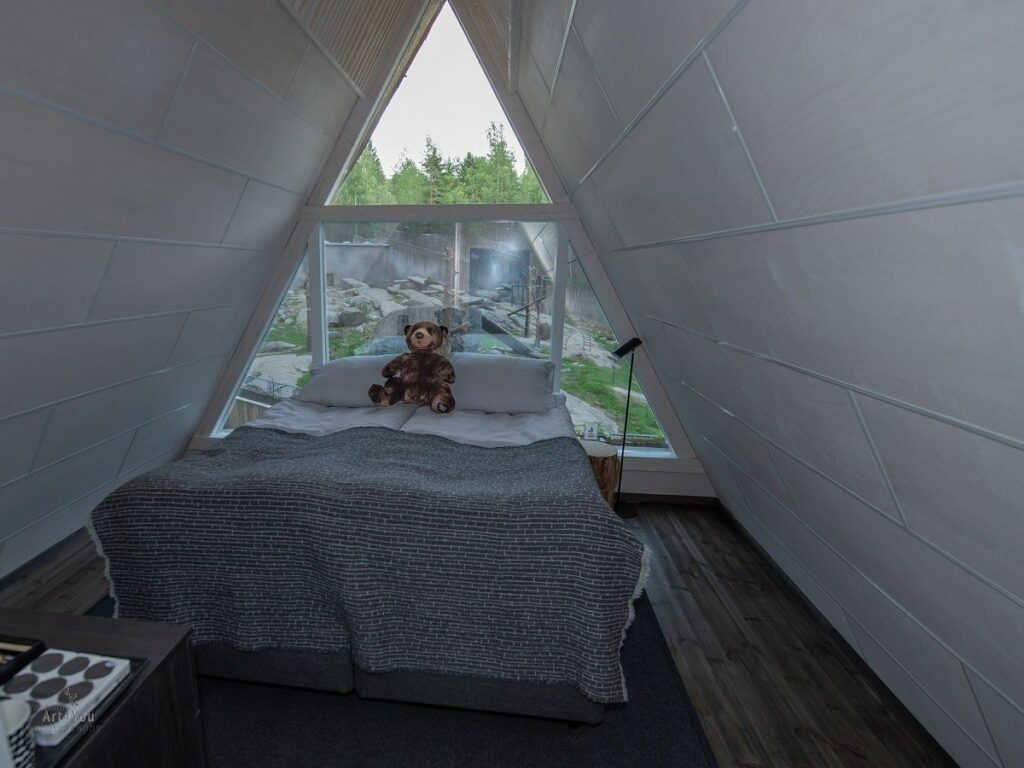 nuku-karhuja-katsellen, sleep-with-bears-ähtäri-zoo-majoitus