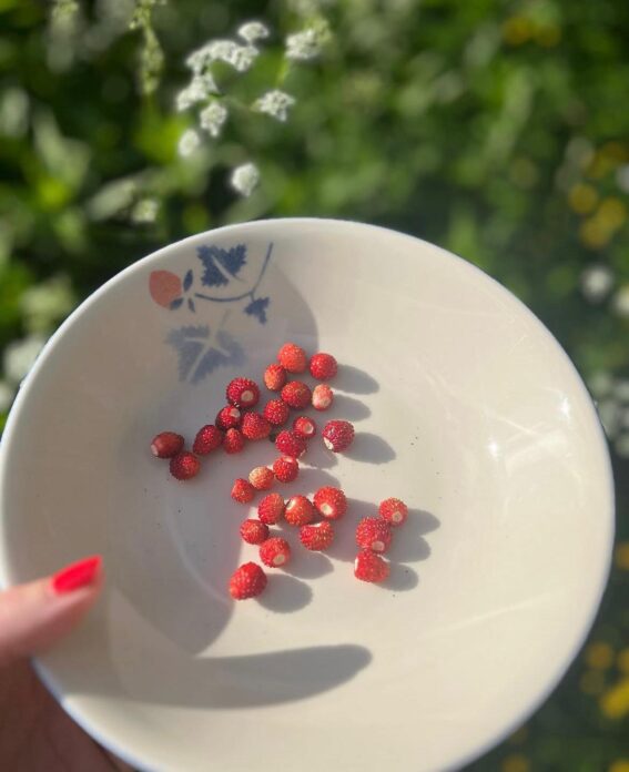Henna Peltonen – Hyvinvoinnin äärellä -blogi